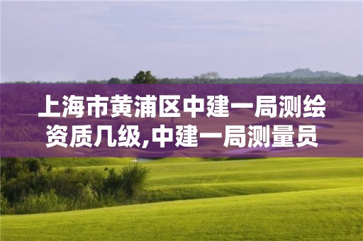 上海市黃浦區中建一局測繪資質幾級,中建一局測量員工資。