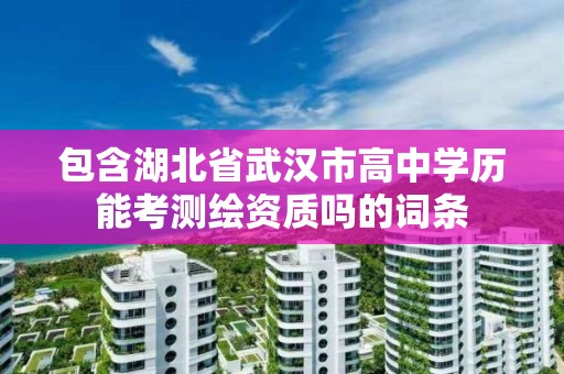 包含湖北省武漢市高中學(xué)歷能考測繪資質(zhì)嗎的詞條