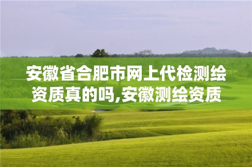 安徽省合肥市網(wǎng)上代檢測(cè)繪資質(zhì)真的嗎,安徽測(cè)繪資質(zhì)查詢系統(tǒng)。