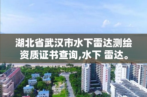 湖北省武漢市水下雷達測繪資質證書查詢,水下 雷達。