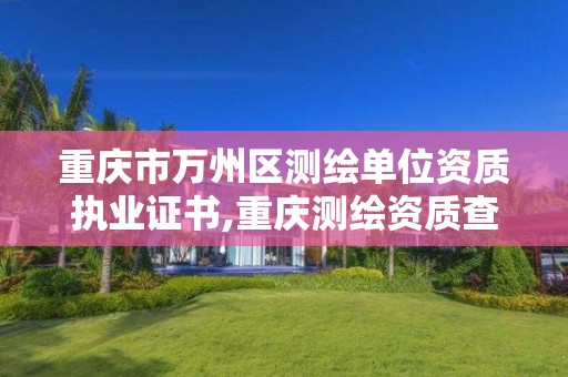 重慶市萬州區測繪單位資質執業證書,重慶測繪資質查詢