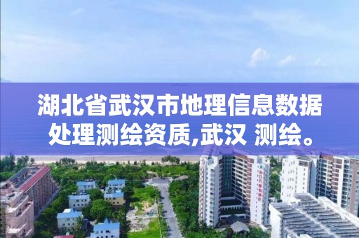 湖北省武漢市地理信息數據處理測繪資質,武漢 測繪。