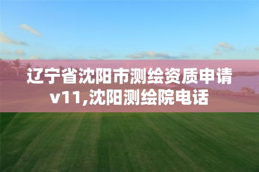 遼寧省沈陽市測繪資質(zhì)申請v11,沈陽測繪院電話