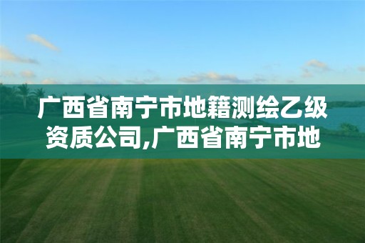 廣西省南寧市地籍測繪乙級資質公司,廣西省南寧市地籍測繪乙級資質公司有哪些。