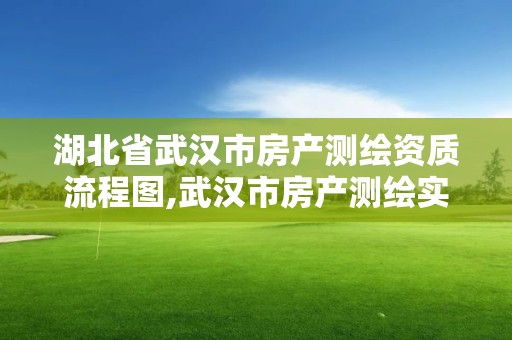 湖北省武漢市房產測繪資質流程圖,武漢市房產測繪實施細則