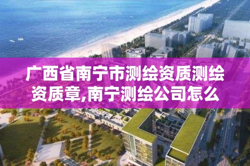 廣西省南寧市測繪資質測繪資質章,南寧測繪公司怎么收費標準