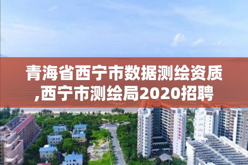 青海省西寧市數據測繪資質,西寧市測繪局2020招聘