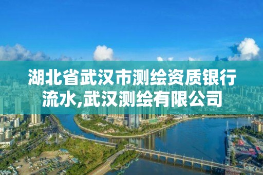 湖北省武漢市測繪資質銀行流水,武漢測繪有限公司