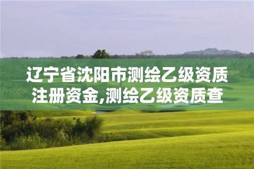 遼寧省沈陽市測繪乙級資質注冊資金,測繪乙級資質查詢