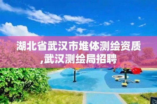 湖北省武漢市堆體測繪資質,武漢測繪局招聘