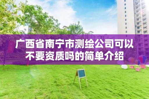 廣西省南寧市測繪公司可以不要資質嗎的簡單介紹