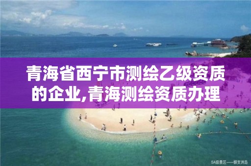 青海省西寧市測繪乙級資質的企業,青海測繪資質辦理