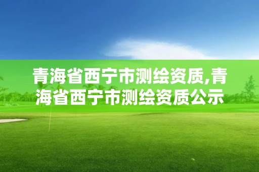 青海省西寧市測繪資質,青海省西寧市測繪資質公示