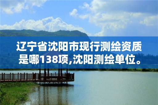 遼寧省沈陽市現行測繪資質是哪138項,沈陽測繪單位。