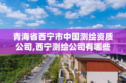 青海省西寧市中國測繪資質公司,西寧測繪公司有哪些