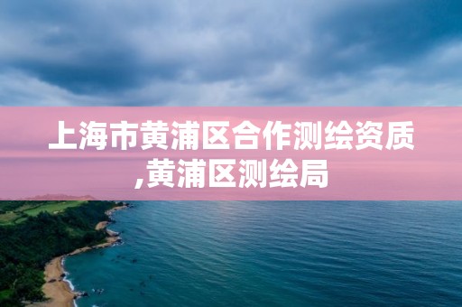 上海市黃浦區合作測繪資質,黃浦區測繪局