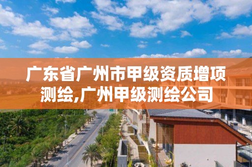 廣東省廣州市甲級資質(zhì)增項測繪,廣州甲級測繪公司