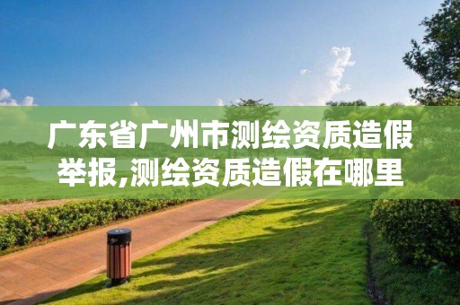 廣東省廣州市測繪資質造假舉報,測繪資質造假在哪里舉報