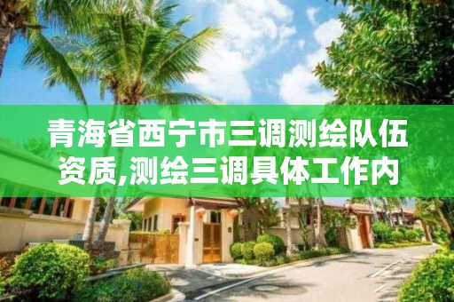 青海省西寧市三調(diào)測繪隊伍資質(zhì),測繪三調(diào)具體工作內(nèi)容。