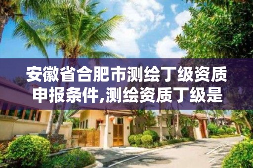 安徽省合肥市測繪丁級資質申報條件,測繪資質丁級是什么意思