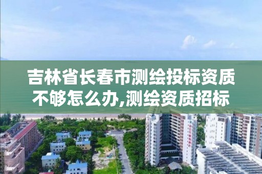 吉林省長春市測繪投標資質不夠怎么辦,測繪資質招標時如何設置。