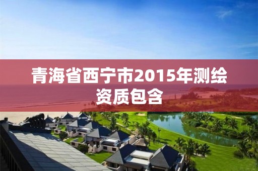 青海省西寧市2015年測繪資質包含