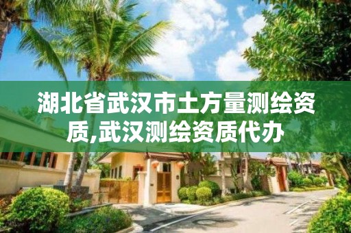 湖北省武漢市土方量測繪資質,武漢測繪資質代辦