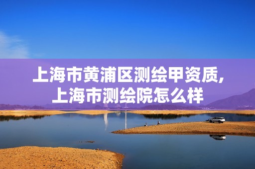 上海市黃浦區(qū)測繪甲資質,上海市測繪院怎么樣