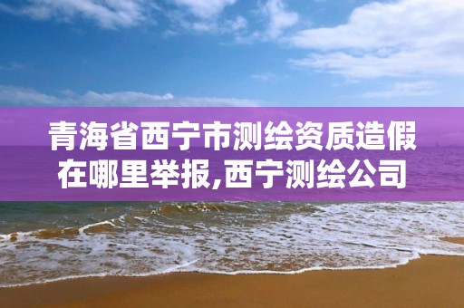 青海省西寧市測繪資質造假在哪里舉報,西寧測繪公司聯系方式。