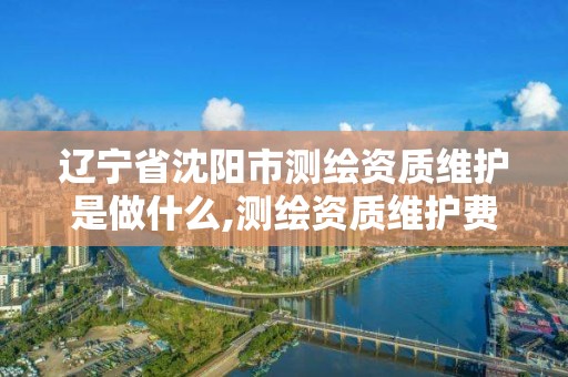 遼寧省沈陽市測繪資質維護是做什么,測繪資質維護費用