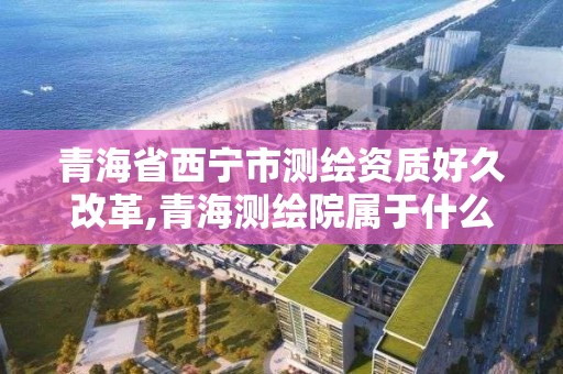 青海省西寧市測繪資質好久改革,青海測繪院屬于什么單位