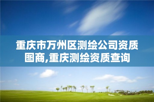 重慶市萬州區測繪公司資質圖商,重慶測繪資質查詢