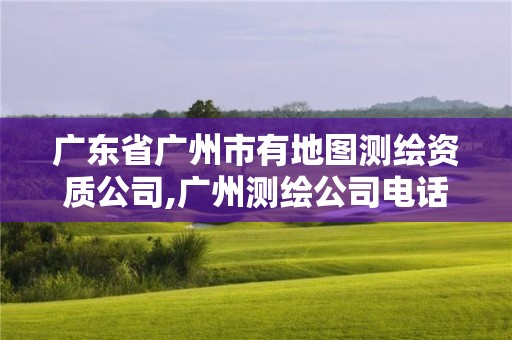 廣東省廣州市有地圖測繪資質公司,廣州測繪公司電話