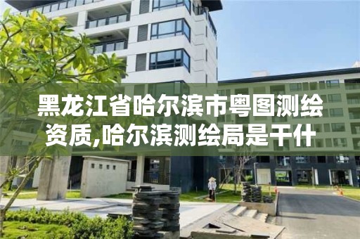 黑龍江省哈爾濱市粵圖測(cè)繪資質(zhì),哈爾濱測(cè)繪局是干什么的