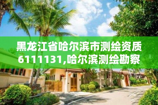 黑龍江省哈爾濱市測(cè)繪資質(zhì)6111131,哈爾濱測(cè)繪勘察研究院怎么樣