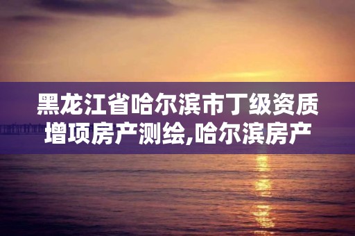 黑龍江省哈爾濱市丁級資質增項房產測繪,哈爾濱房產測繪公司