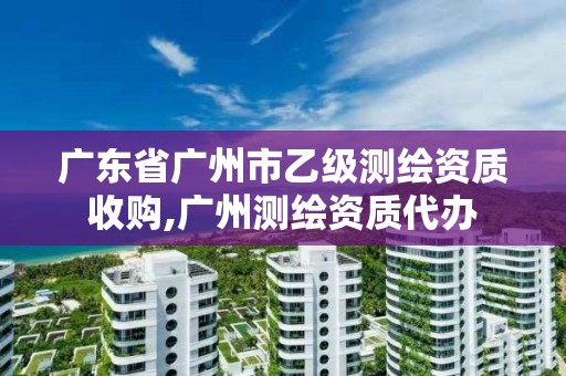 廣東省廣州市乙級測繪資質收購,廣州測繪資質代辦