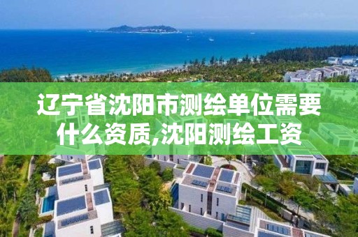 遼寧省沈陽市測繪單位需要什么資質,沈陽測繪工資