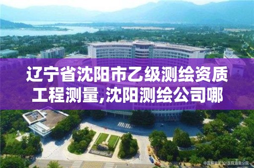 遼寧省沈陽市乙級測繪資質工程測量,沈陽測繪公司哪家強哪家好