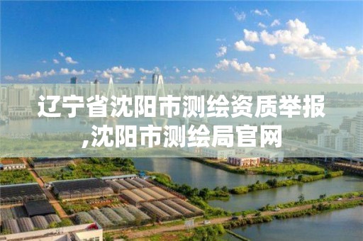 遼寧省沈陽市測繪資質舉報,沈陽市測繪局官網