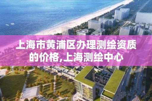 上海市黃浦區辦理測繪資質的價格,上海測繪中心