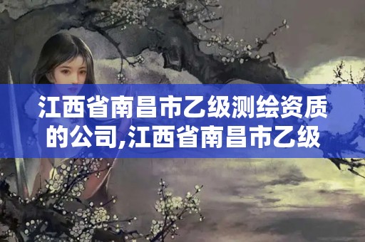 江西省南昌市乙級測繪資質的公司,江西省南昌市乙級測繪資質的公司有哪些