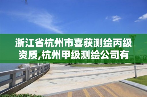 浙江省杭州市喜獲測繪丙級資質,杭州甲級測繪公司有哪些