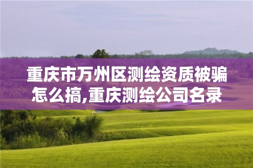 重慶市萬州區測繪資質被騙怎么搞,重慶測繪公司名錄