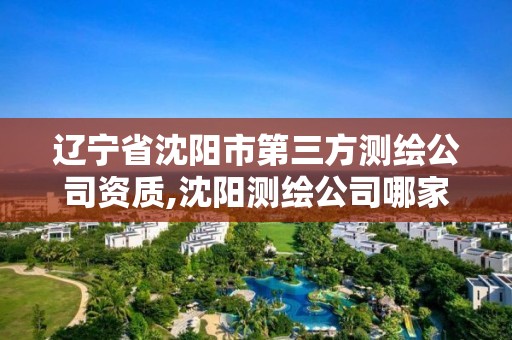 遼寧省沈陽市第三方測繪公司資質,沈陽測繪公司哪家強哪家好。