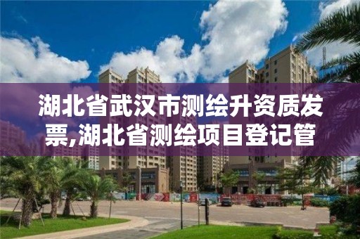 湖北省武漢市測繪升資質(zhì)發(fā)票,湖北省測繪項目登記管理辦法