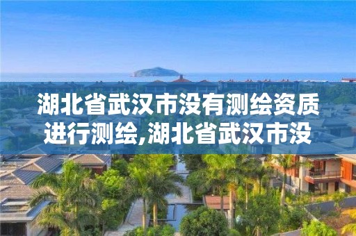 湖北省武漢市沒有測繪資質進行測繪,湖北省武漢市沒有測繪資質進行測繪的單位