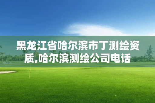 黑龍江省哈爾濱市丁測(cè)繪資質(zhì),哈爾濱測(cè)繪公司電話