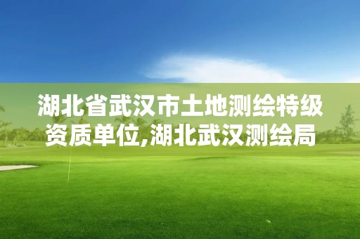 湖北省武漢市土地測(cè)繪特級(jí)資質(zhì)單位,湖北武漢測(cè)繪局