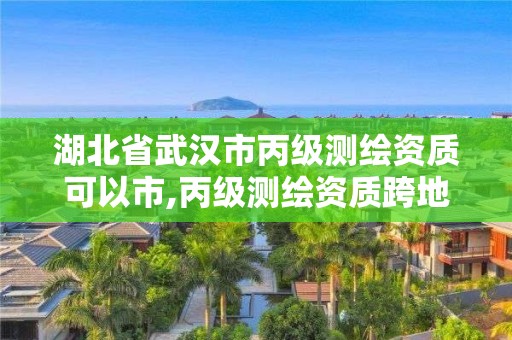 湖北省武漢市丙級測繪資質可以市,丙級測繪資質跨地市